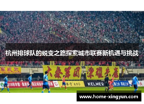 杭州排球队的蜕变之路探索城市联赛新机遇与挑战